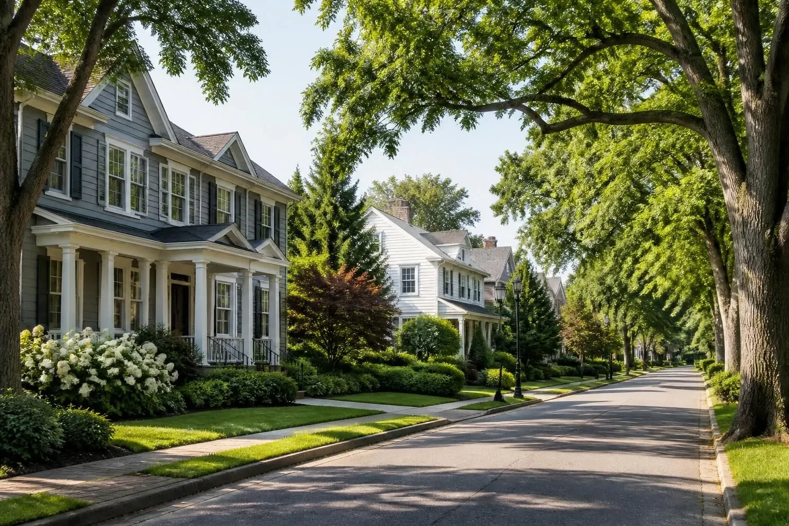 A tree-lined residential street with well-kept homes and mature landscaping.